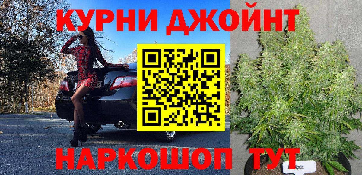 Марихуана конопля Новозыбков